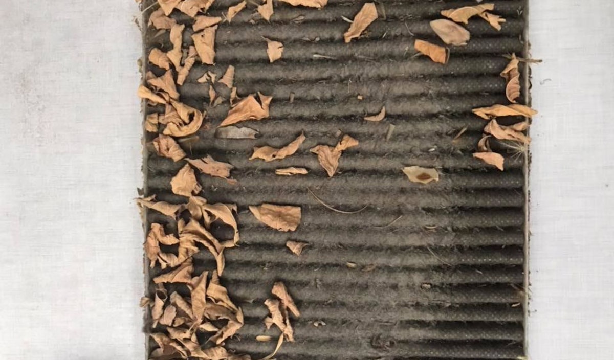 Thumbnail for Cabin air filters 